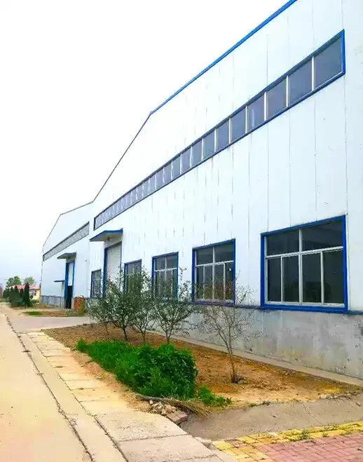 组 31